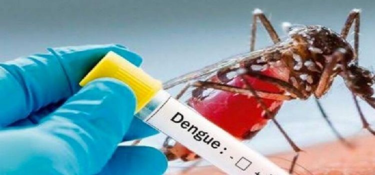 IMSS llama a población para prevenir picaduras de dengue