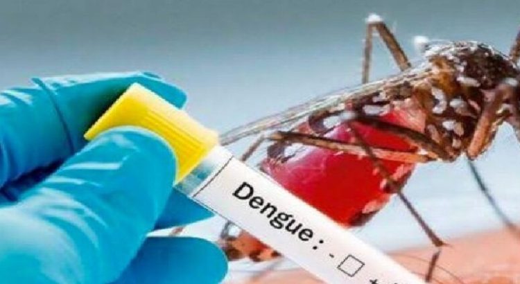 IMSS llama a población para prevenir picaduras de dengue
