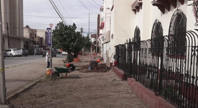 El Alcalde de Torreón contempla cancelar el proyecto del Corredor Matamoros