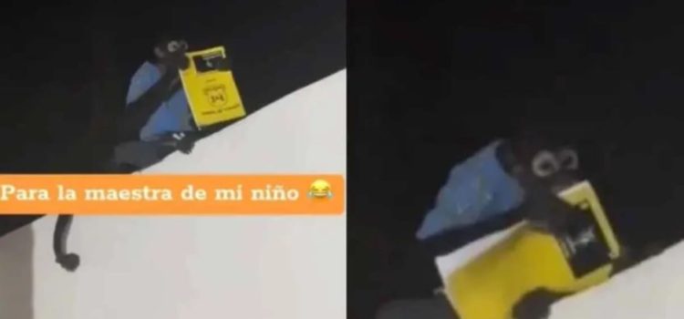 ¿Le creerá la maestra? en Culiacán un chango le robó la tarea a un niño