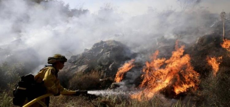 El incendio forestal consume más de 45 hectáreas de vegetación en Saltillo, Coahuila