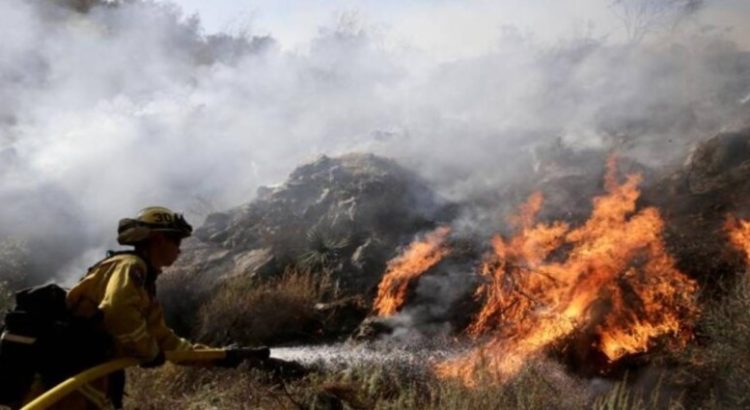 El incendio forestal consume más de 45 hectáreas de vegetación en Saltillo, Coahuila