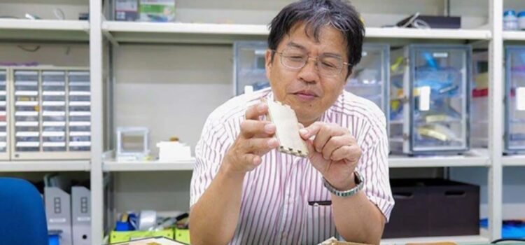 LignoSat: la revolución de los satélites de madera en la exploración espacial