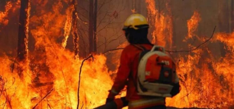 Bolivia enfrenta una emergencia nacional por incendios forestales: una crisis agravada por la sequía