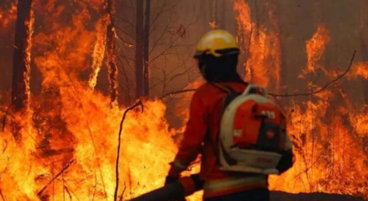 Bolivia enfrenta una emergencia nacional por incendios forestales: una crisis agravada por la sequía