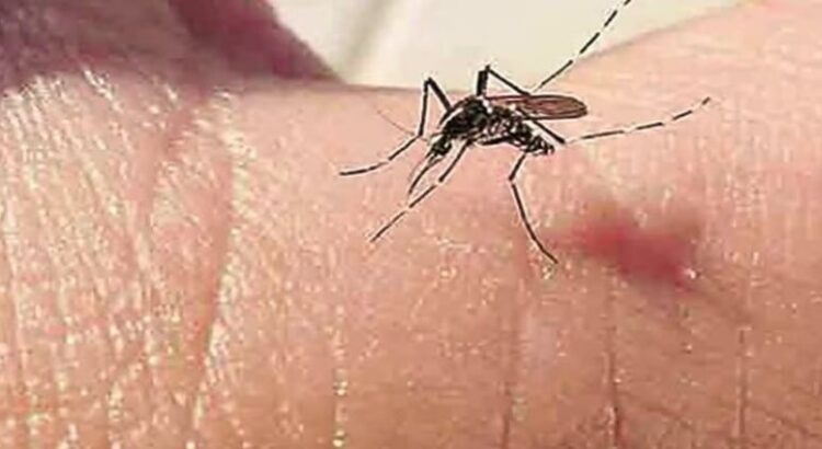 Una mujer enferma de dengue dio a luz en Coahuila