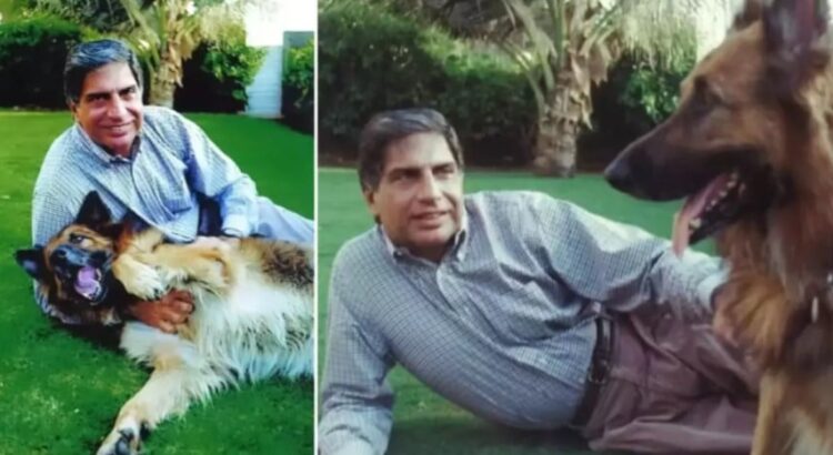 Ratan Tata: el magnate indio que aseguró una herencia millonaria para el cuidado de su perro