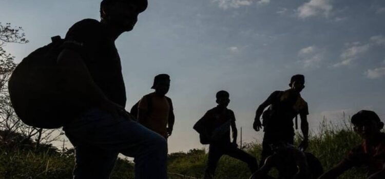 En Coahuila se desploma la deportación de migrantes