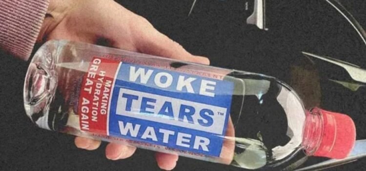 El auge de las tiendas «anti-woke» en los Estados Unidos