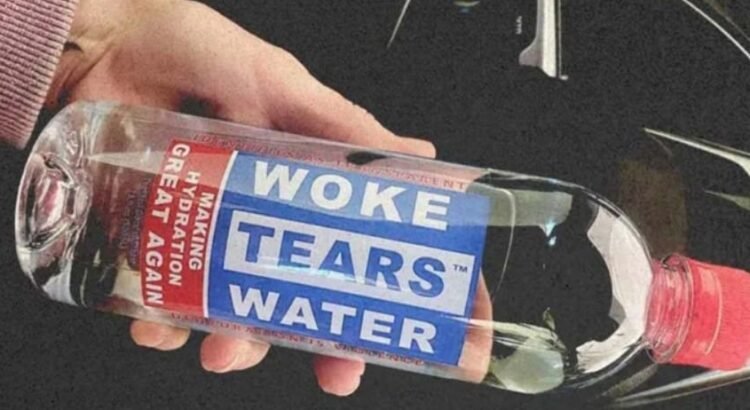 El auge de las tiendas «anti-woke» en los Estados Unidos El auge de las tiendas «anti-woke» en los Estados Unidos