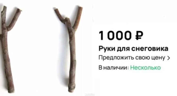 Tiburones rusos: venden ramas como brazos de muñecos de nieve Tiburones rusos: venden ramas como brazos de muñecos de nieve