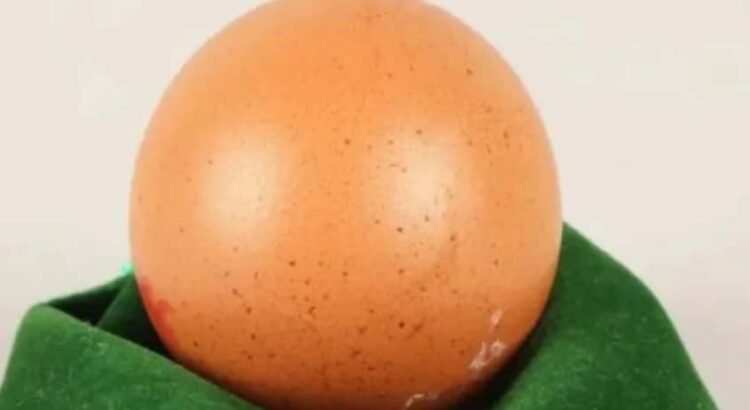 ¿250 dólares por un huevo?