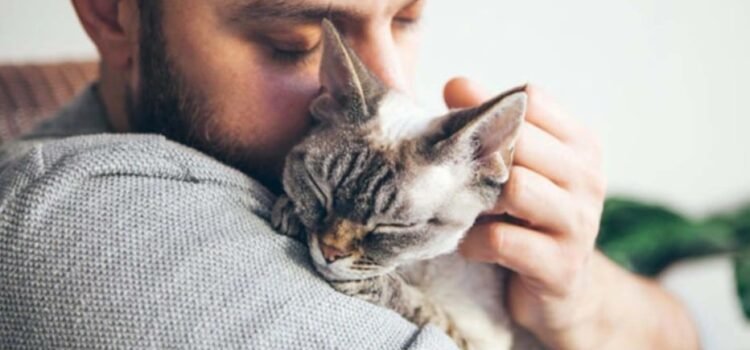 Mujer demandó a su marido por crueldad… prefería al gato que a ella