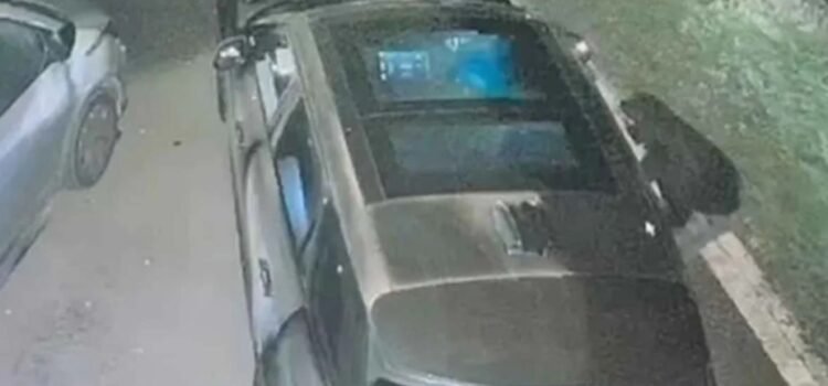 Se robaron un auto «imposible de robar»