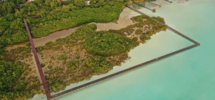 Ecoparque de Bacalar es finalista del Mies Crown Hall Americas Prize