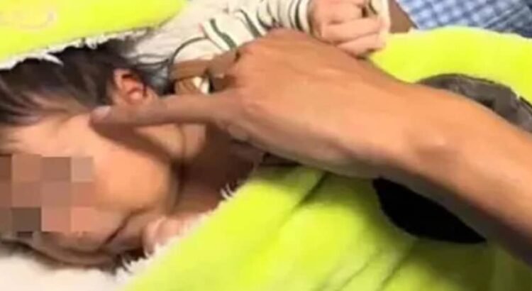 Mamá llama a su bebé “Aguacate” Mamá llama a su bebé “Aguacate”