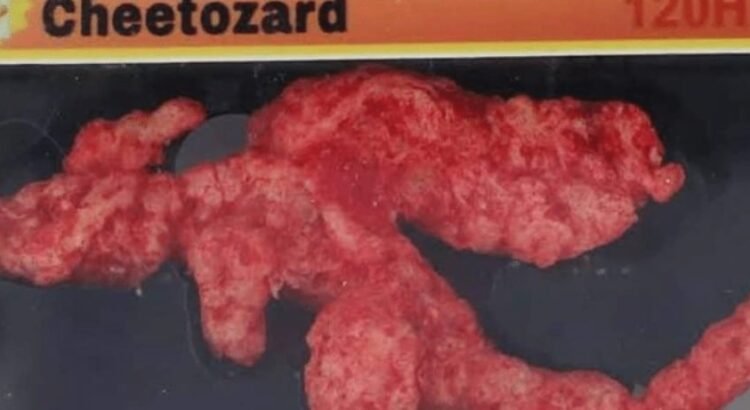 Alcanza Cheeto con forma de Charizard más de 10 mil dólares en subasta