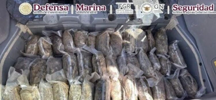 Son incautados al rededor de 50 kilos de metanfetamina en Coahuila y 250 litros de heroína líquida en Durango