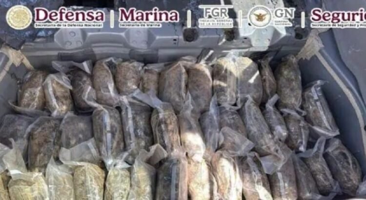 Son incautados al rededor de 50 kilos de metanfetamina en Coahuila y 250 litros de heroína líquida en Durango