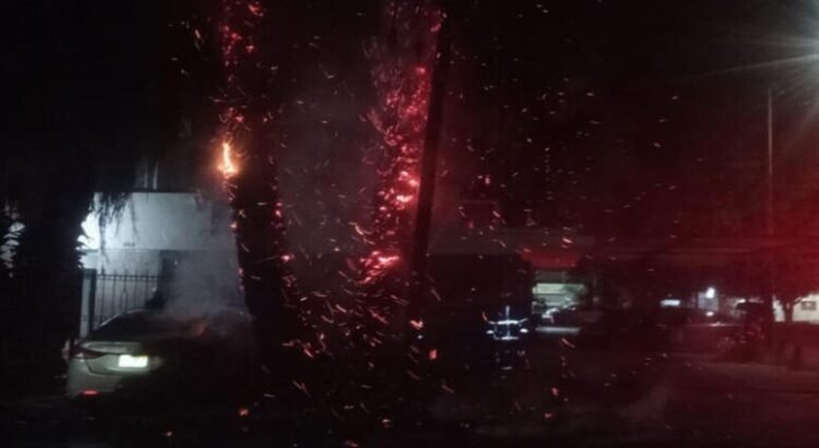 El fuego consume dos palmeras y un vehículo durante la madrugada del viernes en Torreón