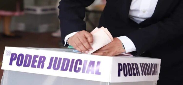 Los virtuales ganadores de la elección federal judicial en el estado de Coahuila