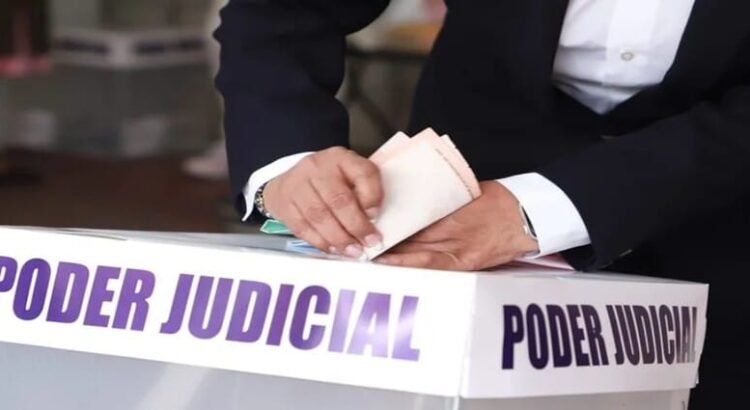 Los virtuales ganadores de la elección federal judicial en el estado de Coahuila