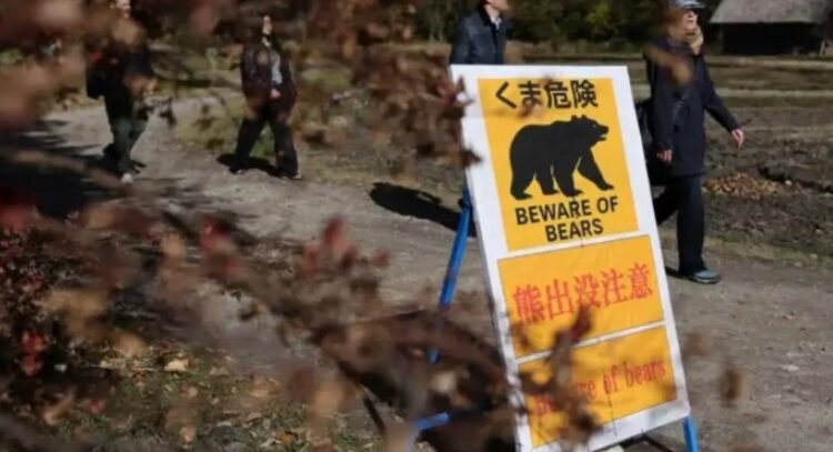 Empleado se defendió con judo de un ataque de oso