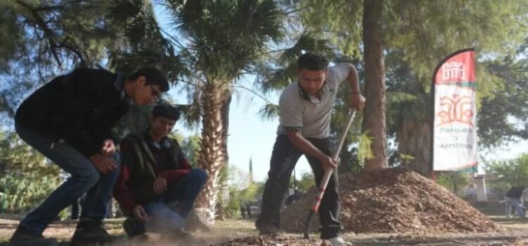 En reforestación el Bosque Venustiano Carranza con 100 nuevos árboles en Torreón