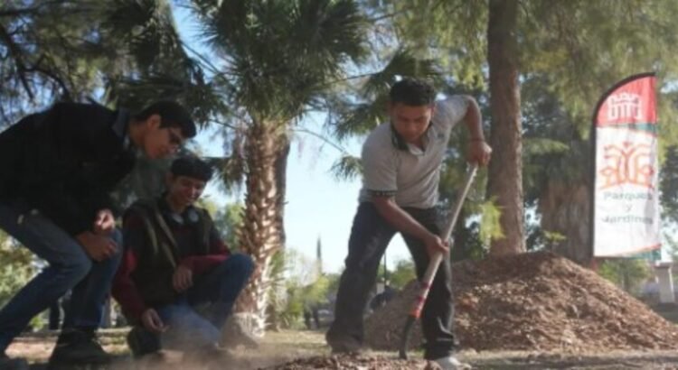 En reforestación el Bosque Venustiano Carranza con 100 nuevos árboles en Torreón