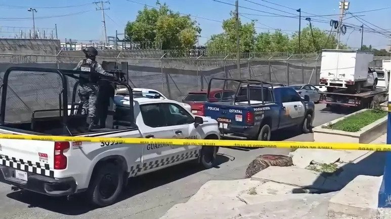 Decomisan cerca de una tonelada de narcóticos en Saltillo